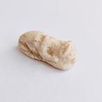 Sino-Siberian kalksteen Crouching Cat Bead Talisman - 58 mm, Antiek en Kunst