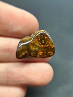 Ongelooflijke vuuragaat - 11,40 ct - Mexico - Hoogte: 21 mm