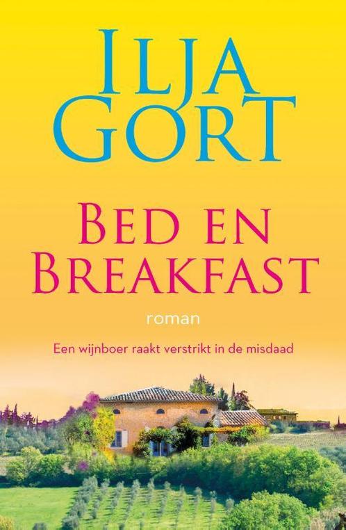 Bed en breakfast: roman 9789082958799 Ilja Gort, Boeken, Romans, Gelezen, Verzenden