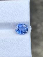 Zonder Minimumprijs Blauw Saffier - 1.49 ct - nternational, Nieuw