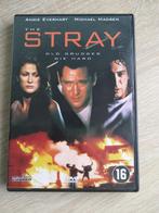 DVD - The Stray, Cd's en Dvd's, Dvd's | Thrillers en Misdaad, Actiethriller, Gebruikt, Verzenden, Vanaf 16 jaar
