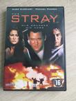 DVD - The Stray