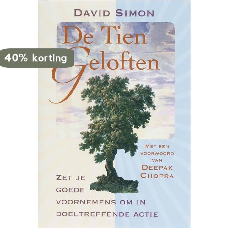 De Tien Geloften 9789069637570 David Simon, Boeken, Esoterie en Spiritualiteit, Gelezen, Verzenden