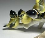 Hutschenreuther - Beeldje - Titmouse Bird Family - Porselein, Antiek en Kunst