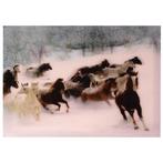 3-d poster paarden sneeuw NIEUW, Verzamelen, Posters, Ophalen of Verzenden, Nieuw