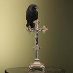 Kraai op Kruis Taxidermie Opgezette Dieren By Max, Ophalen of Verzenden, Nieuw, Vogel, Opgezet dier