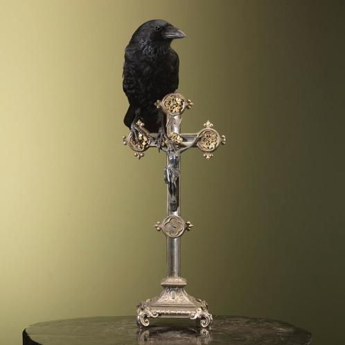 Kraai op Kruis Taxidermie Opgezette Dieren By Max, Verzamelen, Dierenverzamelingen, Opgezet dier, Nieuw, Vogel, Ophalen of Verzenden