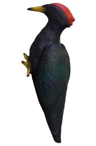 Specht, Tuin en Terras, Tuinbeelden, Nieuw, Verzenden