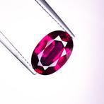 Zonder Minimumprijs Granaat - 4.17 ct - International, Nieuw