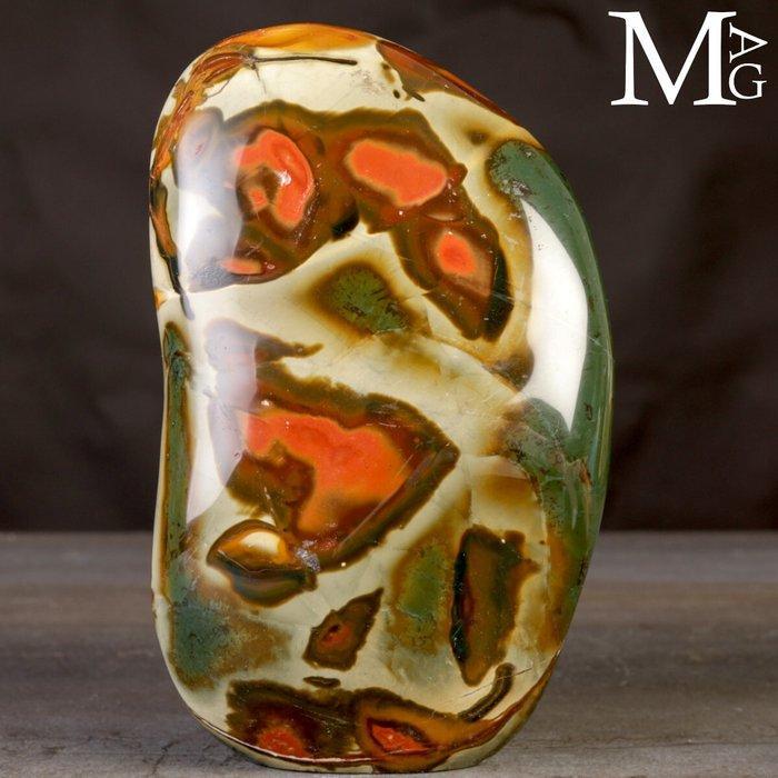 Policrhome Jasper - Ongelooflijke natuurlijke kleuren -, Antiek en Kunst, Curiosa en Brocante