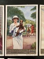 Liebig - 42 Card - La vie de la reine Astrid 1-12 - La Vie, Verzamelen, Nieuw