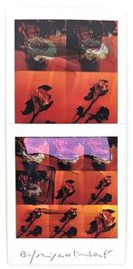 Maurizio Galimberti (1956–) - BiFlowers - 11596