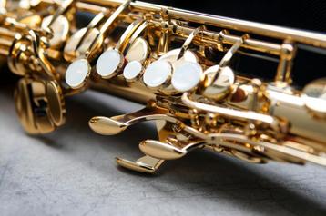 Volledige Saxofoon Revisie - Sopraan beschikbaar voor biedingen