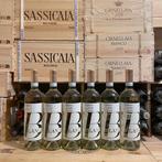 2024 Ceretto, Blangè Arneis - Piëmont DOC - 6 Flessen (0.75, Verzamelen, Nieuw