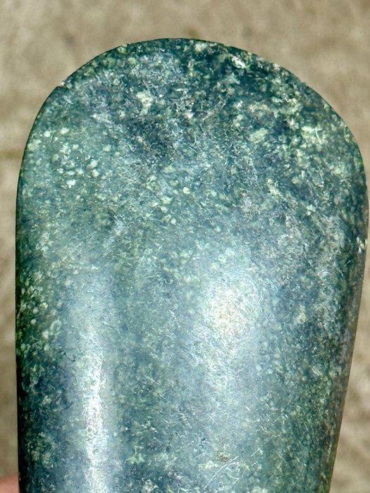 Stone celt Sentani Papua - dop - Sentani - West-Papoea, Antiek en Kunst, Kunst | Niet-Westerse kunst