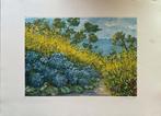 Michele Cascella (1892-1989) - Ortensie tra le ginestre