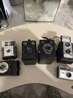 Goldy, Kodak, Lumière dauphin /Starlux 2 /Box / Scoutbox, Nieuw