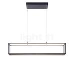 PAUL NEUHAUS Contura Hanglamp LED, zwart (Hanglampen), Huis en Inrichting, Lampen | Hanglampen, Verzenden, Nieuw