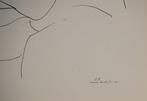 Henri Matisse (1869-1954) - Séductrice