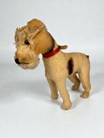Steiff - Speelgoed Fox Terriër - 1950-1960 - Nederland