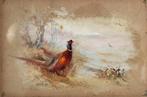 James Stinton (1870-1961) - Triptych of birds in freedom, Antiek en Kunst