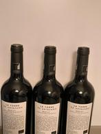 2021 La Torre de Arínzano, Agricultura Biologica Merlot, Nieuw