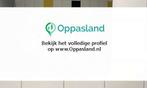 Ik ben Isaura, 16 jaar oud en ik zoek oppaswerk in Den Haag.