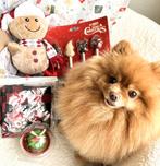 Honden kerstpakket met bandana, knuffel, cupcake en lollys, Diversen, Kerst, Verzenden, Nieuw