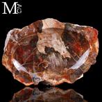 Met de hand gemaakt petrified wood opbergdoosje - Een