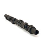 Skunk2 Tuner Series D-Series Honda Stage 4 Camshaft -, Ophalen of Verzenden, Nieuw