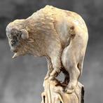 Snijwerk, NO RESERVE PRICE - Stunning Bison carving from a