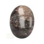Fossiel Koraal Cabuchon Nr 22 -12 gram, Verzenden, Nieuw