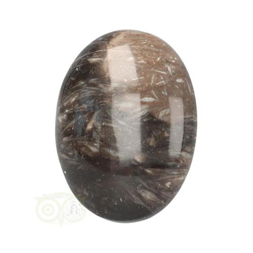 Fossiel Koraal Cabuchon Nr 22 -12 gram, Sieraden, Tassen en Uiterlijk, Edelstenen, Nieuw, Verzenden