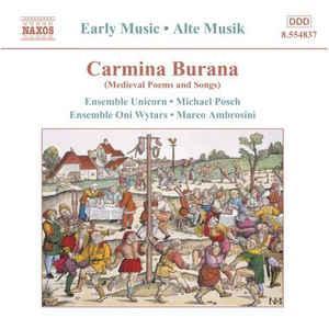 cd - Ensemble Unicorn - Carmina Burana, Cd's en Dvd's, Cd's | Overige Cd's, Zo goed als nieuw, Verzenden
