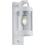 LED Tuinverlichting met Bewegingssensor - Wandlamp, Tuin en Terras, Buitenverlichting, Nieuw, Ophalen of Verzenden, Hanglamp, Led