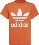 Adidas Trefoil Tee T-Shirt