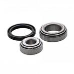 Lagerset 30205/32006 met vetkeerring - o.a. Power Trailer, Auto diversen, Ophalen of Verzenden, Nieuw