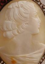Zonder Minimumprijs - Cameo Brons, Verguld, Schelp cameo uit
