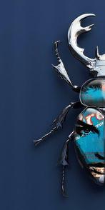F2B - Beetle Girl III 1I8, Antiek en Kunst