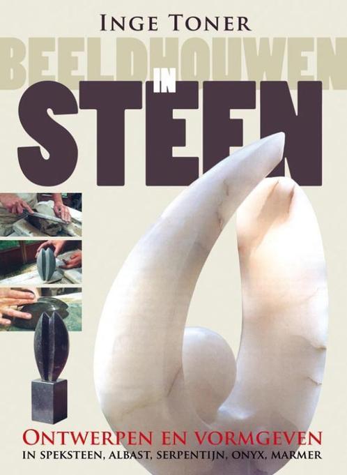 Tirion artBeeldhouwen in steen / Tirion art 9789043914000, Boeken, Hobby en Vrije tijd, Zo goed als nieuw, Verzenden