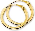 Sparkle14 Oorringen Vierkante Buis - Goud, Verzenden, Nieuw