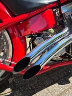 Big Dog - Pitbull - 1750 cc - 2002, Motoren, Motoren | Oldtimers