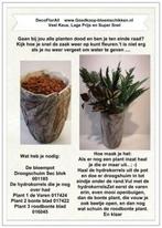 1 werkbeschrijving sparen max per klant pot botanical zij -, Ophalen of Verzenden, Nieuw