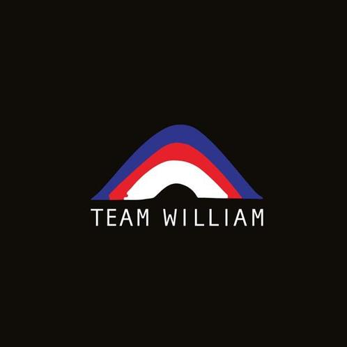 cd digi - Team William - Team William, Cd's en Dvd's, Cd's | Overige Cd's, Zo goed als nieuw, Verzenden