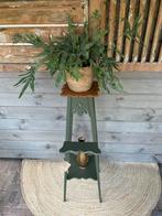 Plantentafel Bayberry, Huis en Inrichting, Tafels | Bijzettafels, Vintage , Brocante , Sfeervol, Verzenden, Nieuw, 60 cm of meer