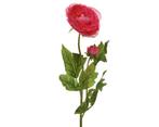 Actie ranonkel camelia donkerroze l.8cm w.10cm h.57cm / stuk, Huis en Inrichting, Ophalen of Verzenden, Nieuw