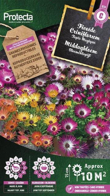 Protecta Bloemen zaden: Akelei Garden Columbine