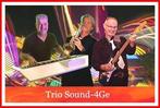 Muziek duo - amusement orkest - coverband duo en trio P&K, Band