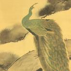 Large scroll - Peacock Perched Pine Tree with Box - Suzuki