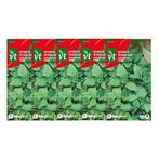 Spinazie zaad | VT | 5 stuks, Tuin en Terras, Verzenden